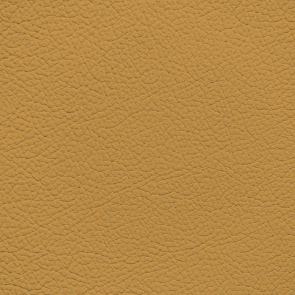Ford/Lincoln/Mercury Chamois Leather Dye