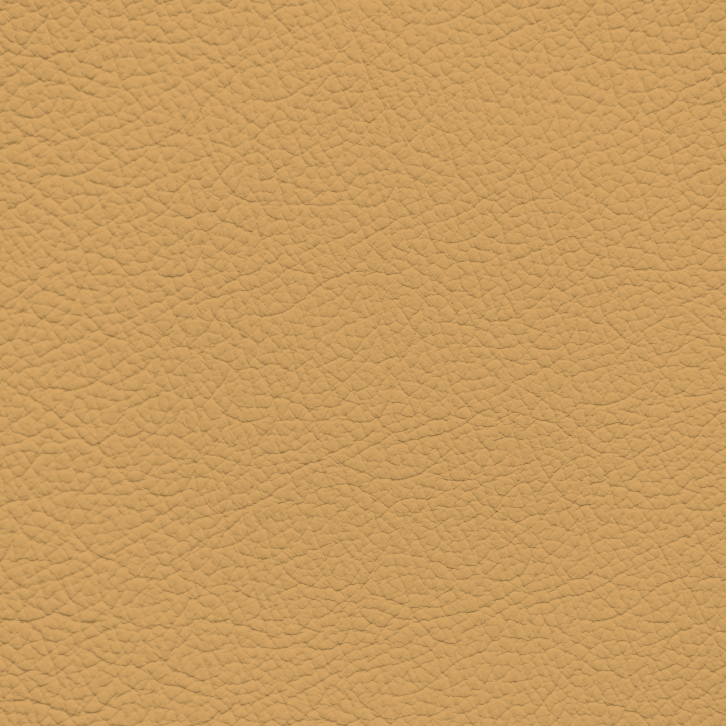 Porsche Champagne Leather Dye