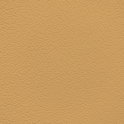 Porsche Champagne Leather Dye