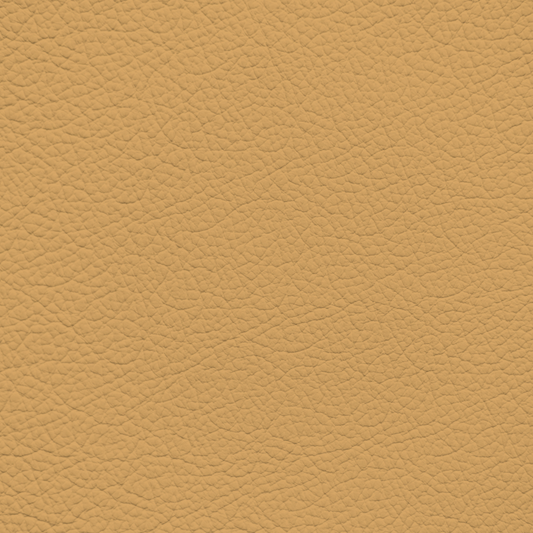 Porsche Champagne Leather Dye