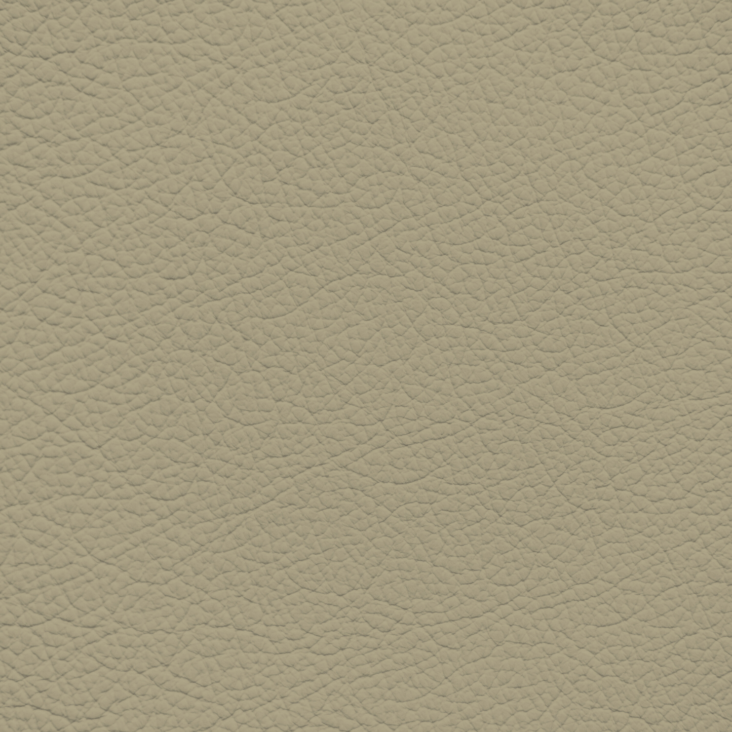Mercedes Champignon Leather Dye