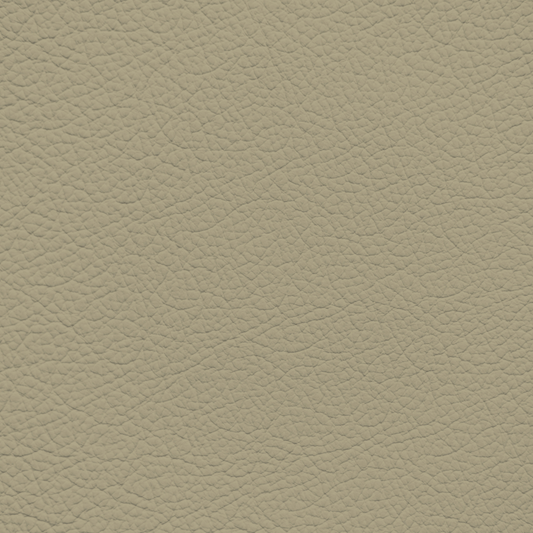 Mercedes Champignon Leather Dye