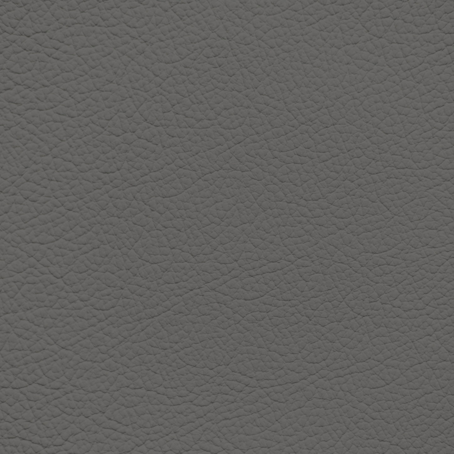 Mercedes Charcoal Leather Dye