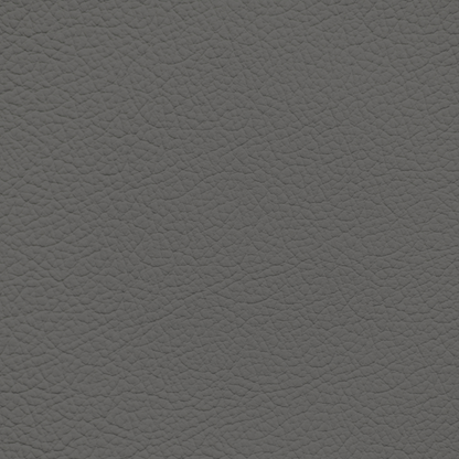 Mercedes Charcoal Leather Dye