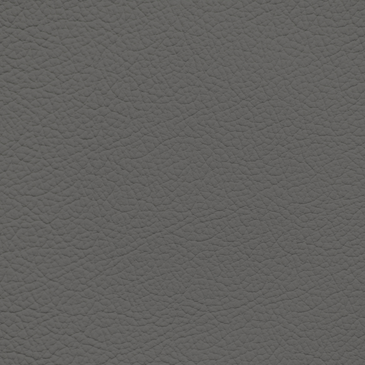 Mercedes Charcoal Leather Dye