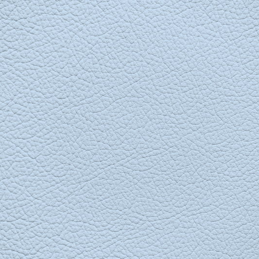 Rolls Royce Charles Blue Leather Dye