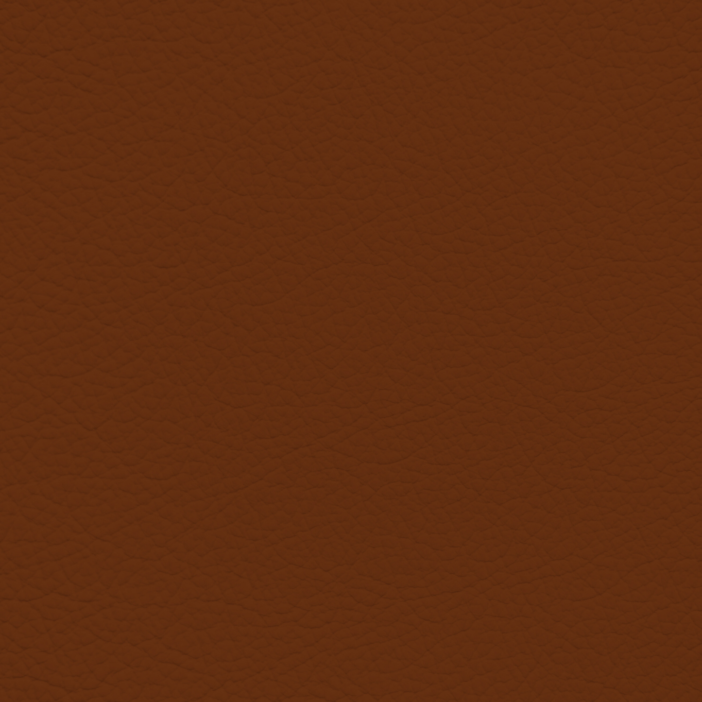 Porsche Chestnut Brown Leather Dye