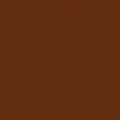 Porsche Chestnut Brown Leather Dye