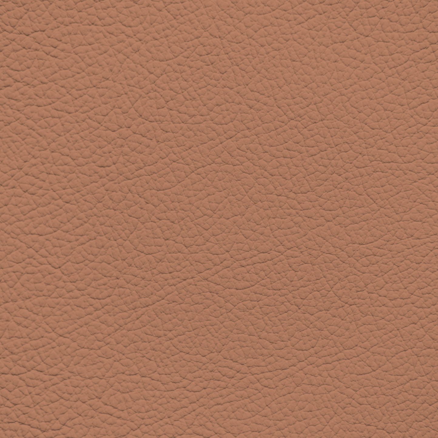 Porsche Cinnamon Leather Dye
