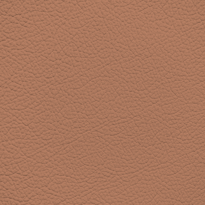 Porsche Cinnamon Leather Dye