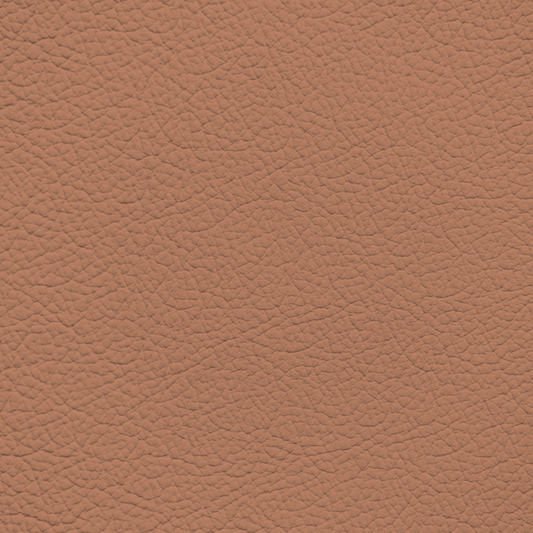 Porsche Cinnamon Leather Dye