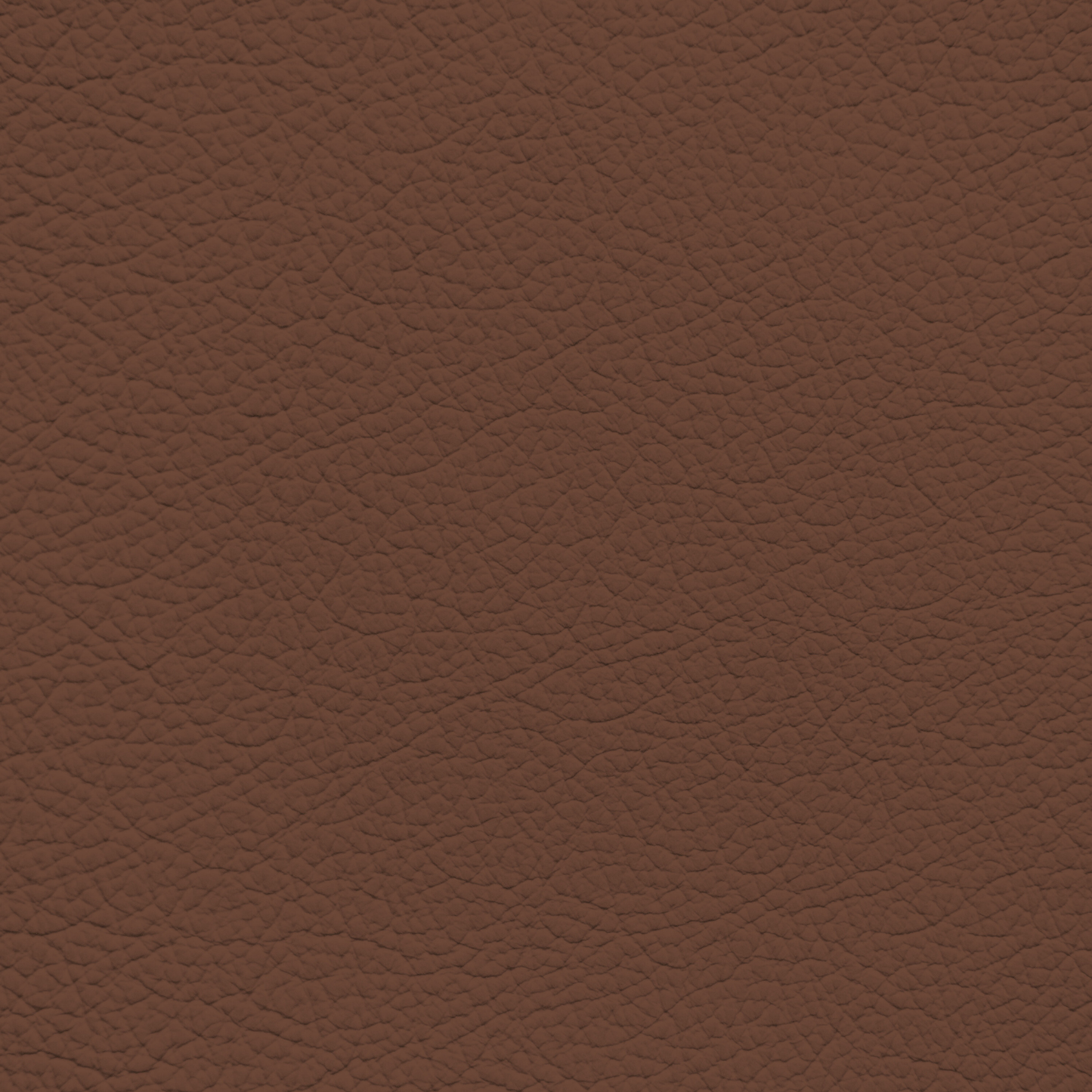 BMW Cinnamon Brown Leather Dye