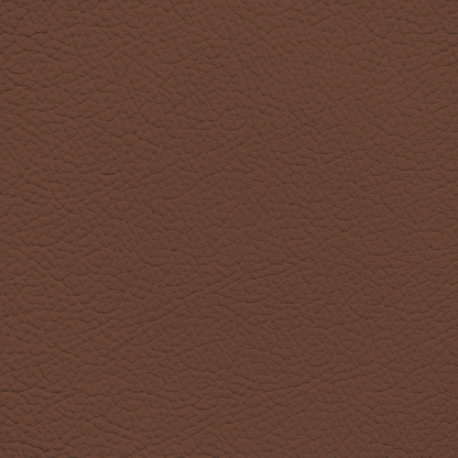 BMW Cinnamon Brown Leather Dye