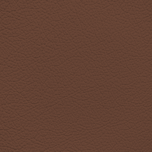 BMW Cinnamon Brown Leather Dye