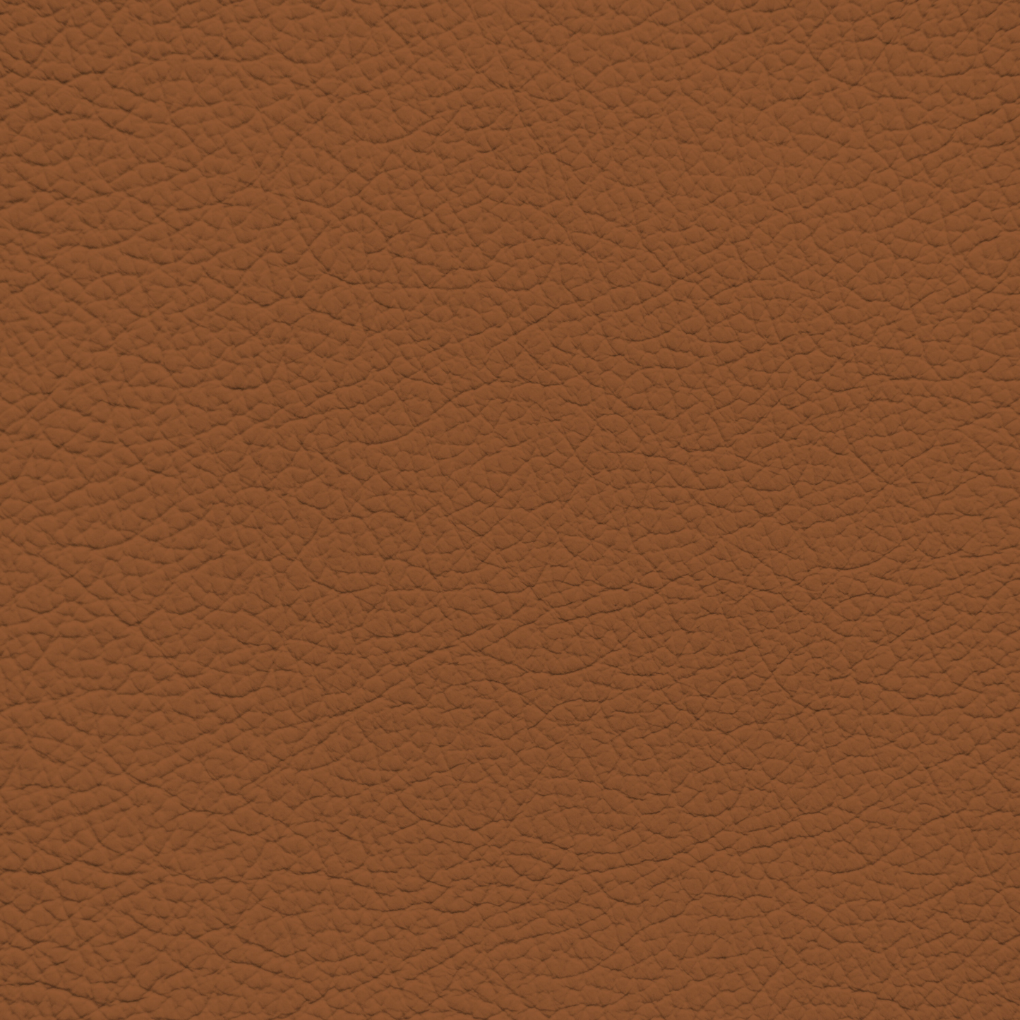 Porsche Cinnamon Leather Dye