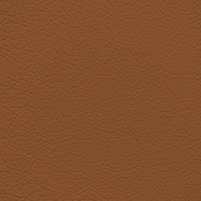 Porsche Cinnamon Leather Dye