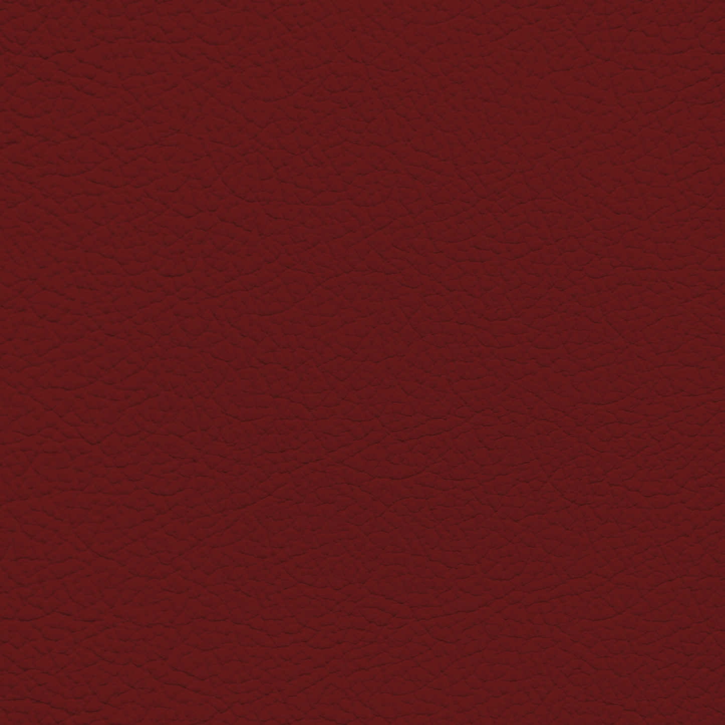 Lexus Circuit Red Leather Dye