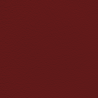Lexus Circuit Red Leather Dye