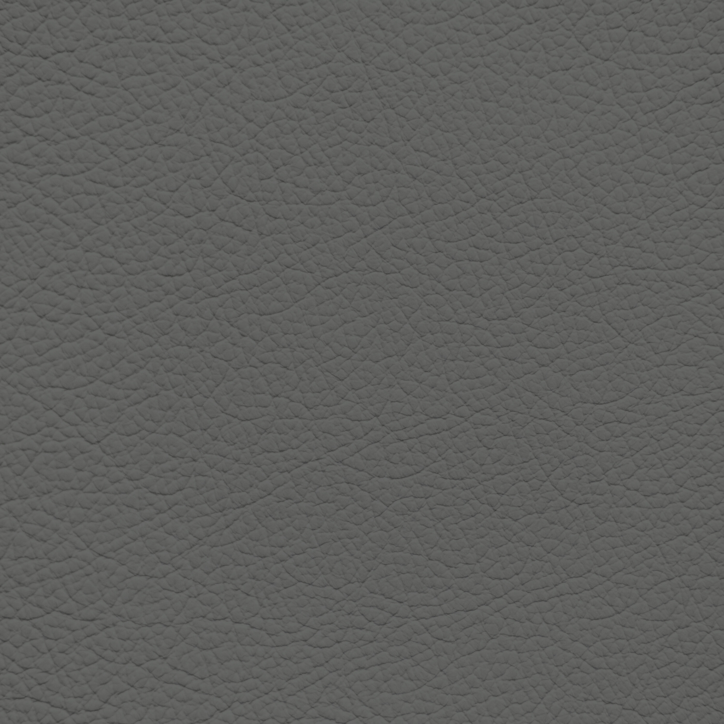 Lexus Classic Gray Leather Dye
