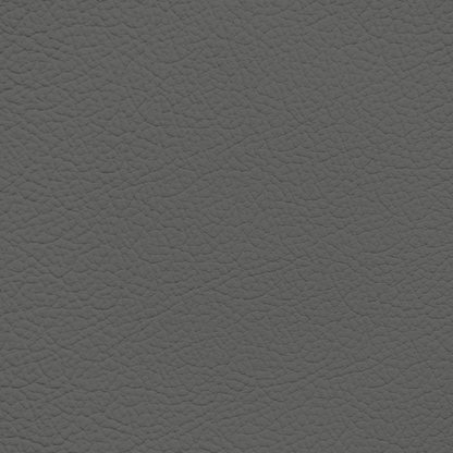 Lexus Classic Gray Leather Dye