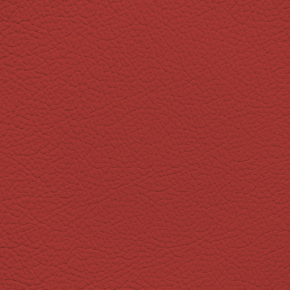 Mercedes Classic Red Leather Dye – Leather World Technologies