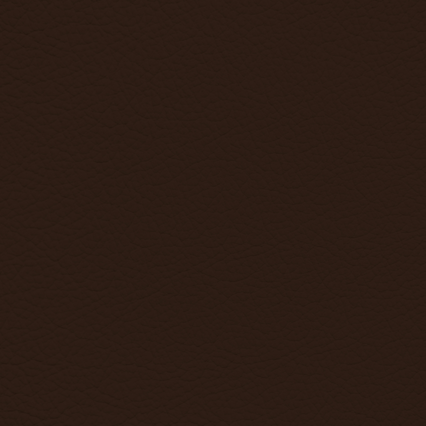 Porsche Cocoa Leather Dye