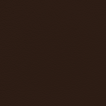 Porsche Cocoa Leather Dye