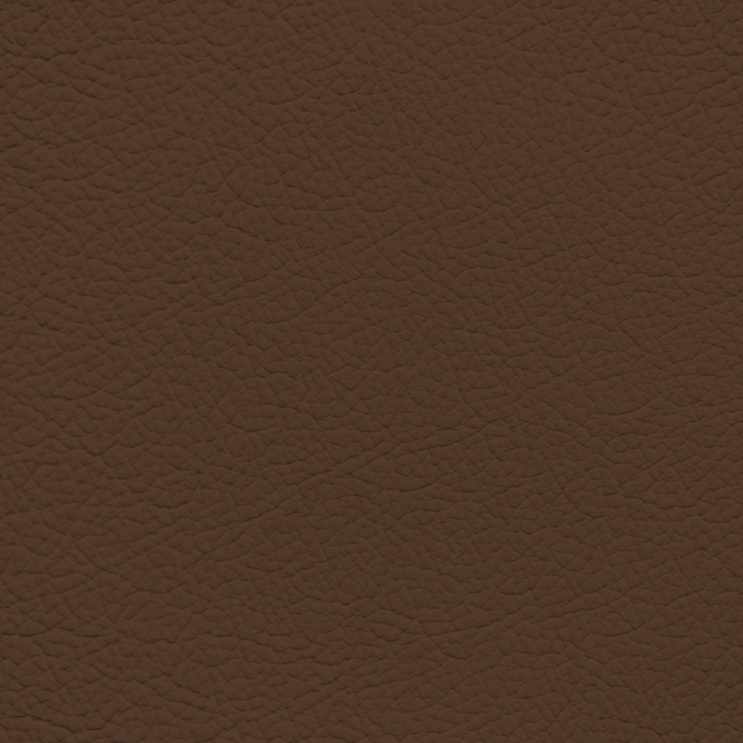 BMW Coffee Leather Dye