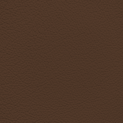 BMW Coffee Leather Dye