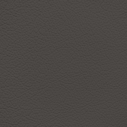 Ford/Lincoln/Mercury Coffee Leather Dye