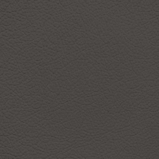 Ford/Lincoln/Mercury Coffee Leather Dye