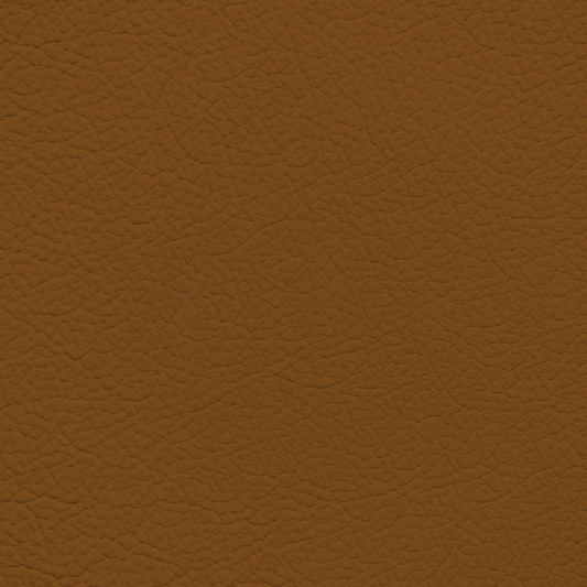 Mercedes Cognac Leather Dye