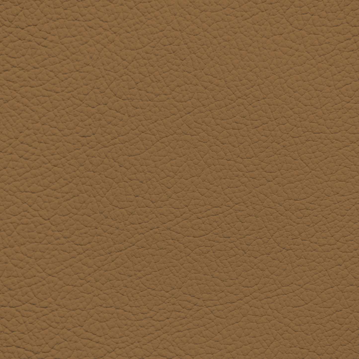 Volkswagen Cognac Leather Dye