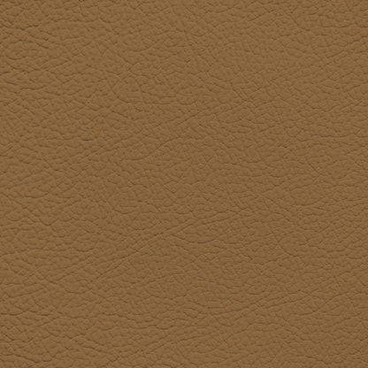 Volkswagen Cognac Leather Dye