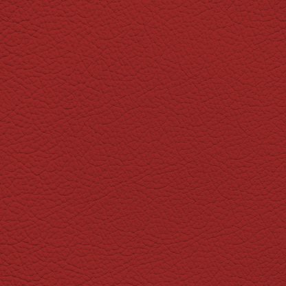 Ford/Lincoln/Mercury Colorado Red Leather Dye