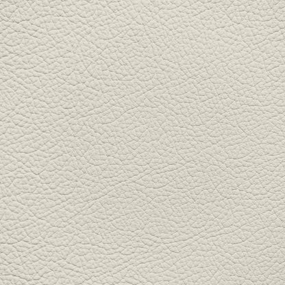 Mercedes Como Beige Leather Dye