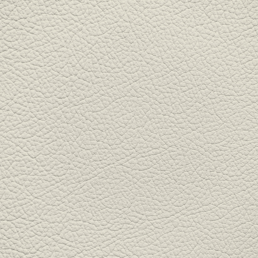 Mercedes Como Beige Leather Dye