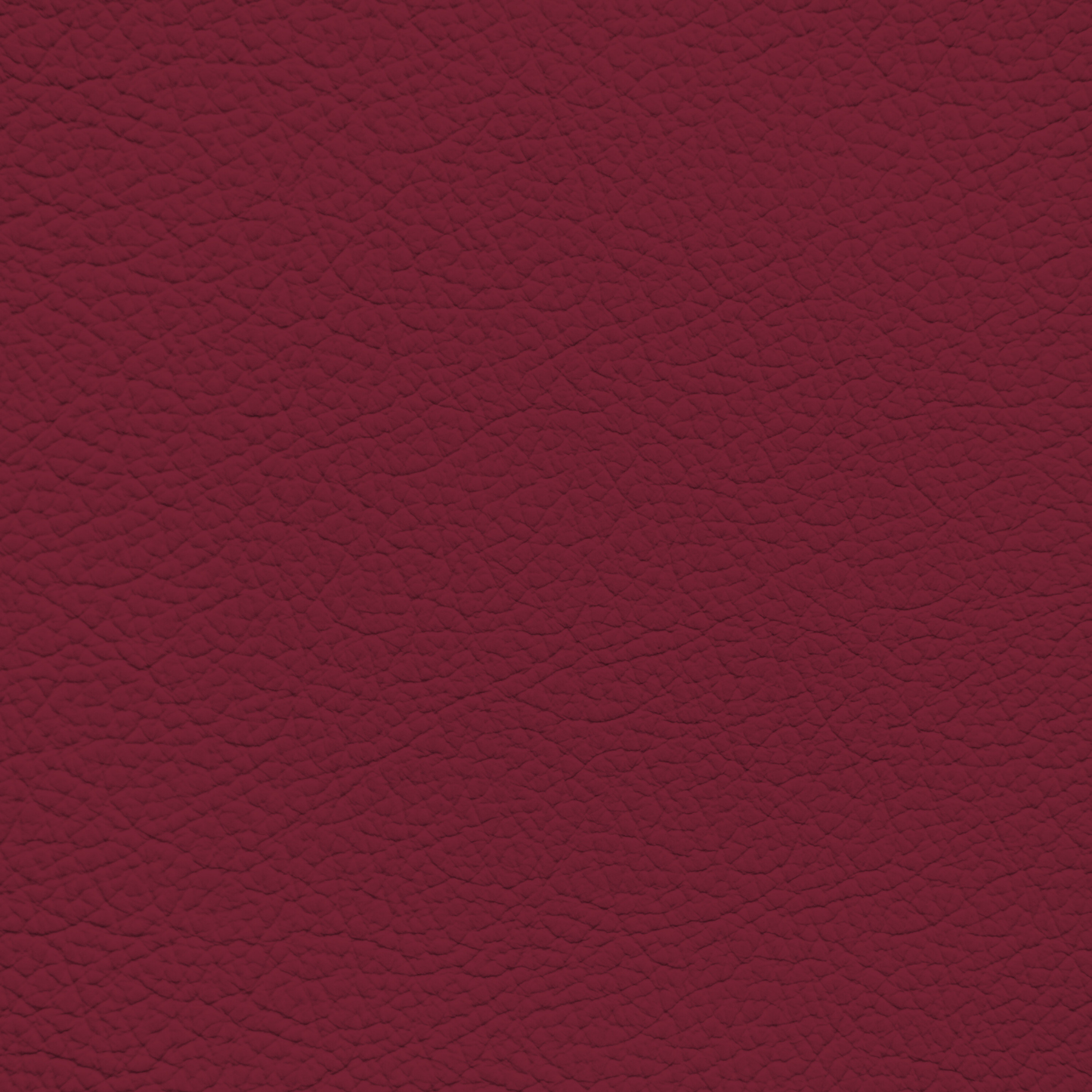 Ford/Lincoln/Mercury Cordovan Leather Dye