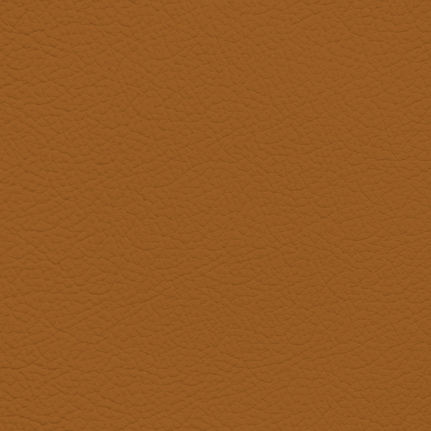 Porsche Cork Leather Dye