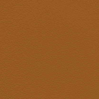 Porsche Cork Leather Dye