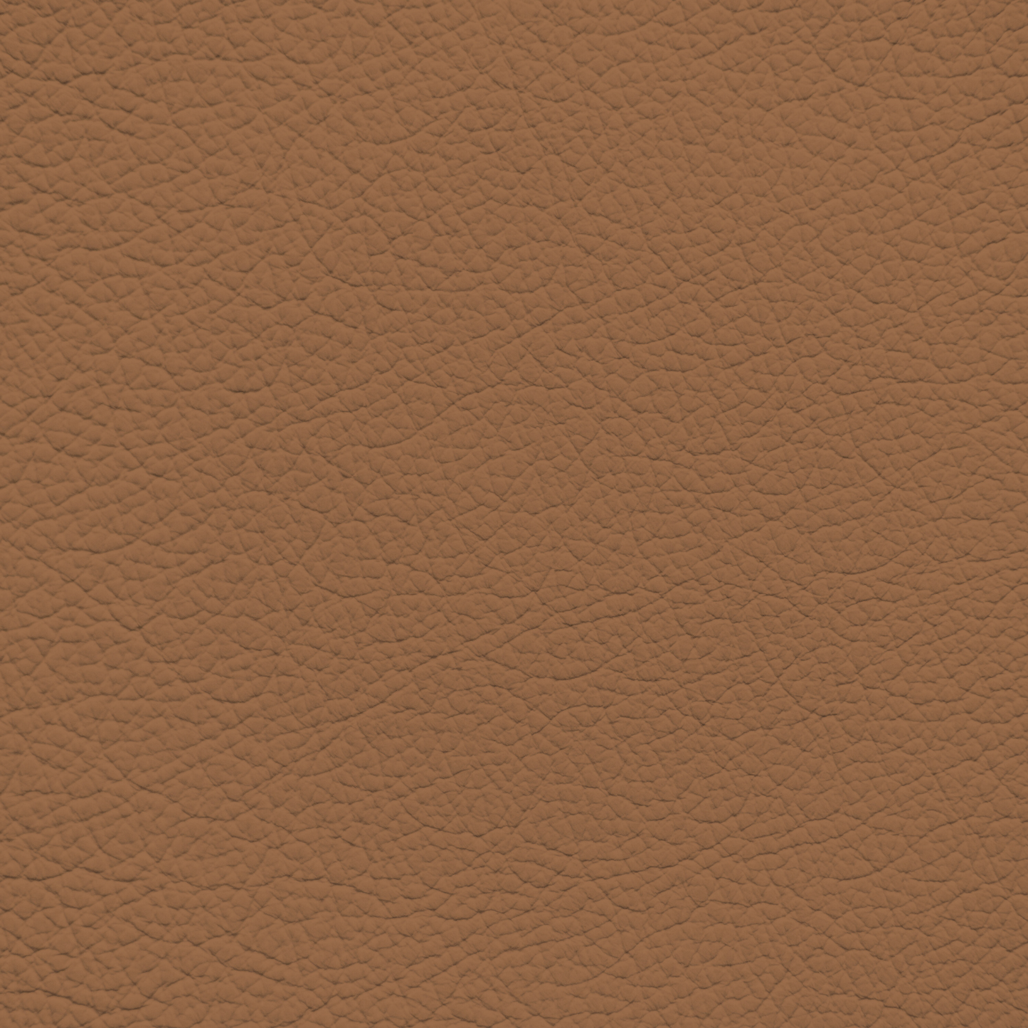 Lexus Cork Leather Dye