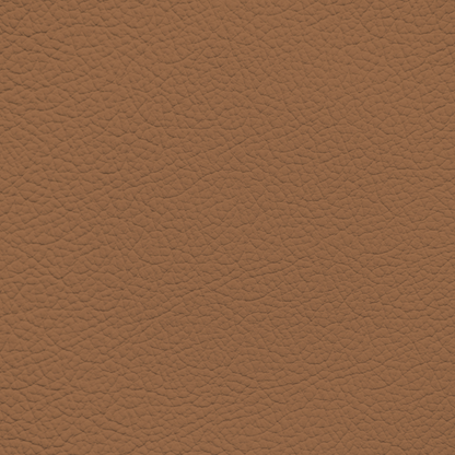 Lexus Cork Leather Dye