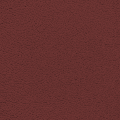Mercedes Cranberry Red Leather Dye