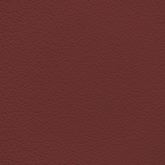 Mercedes Cranberry Red Leather Dye