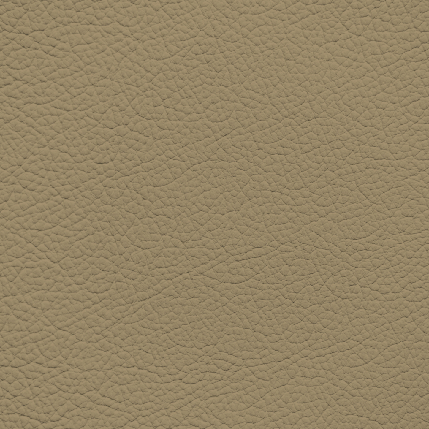 Volkswagen Cream Leather Dye