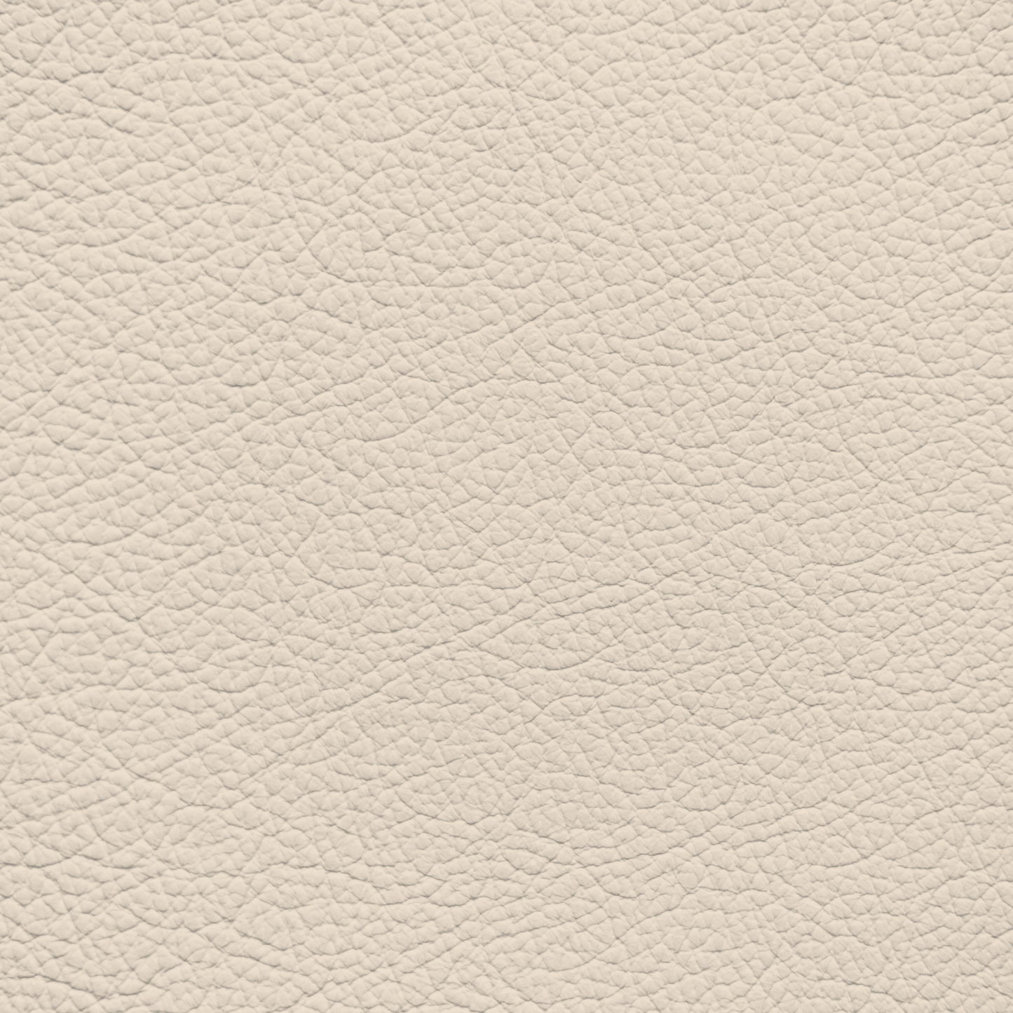 Jaguar Cream Leather Dye
