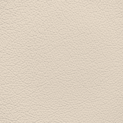 Jaguar Cream Leather Dye