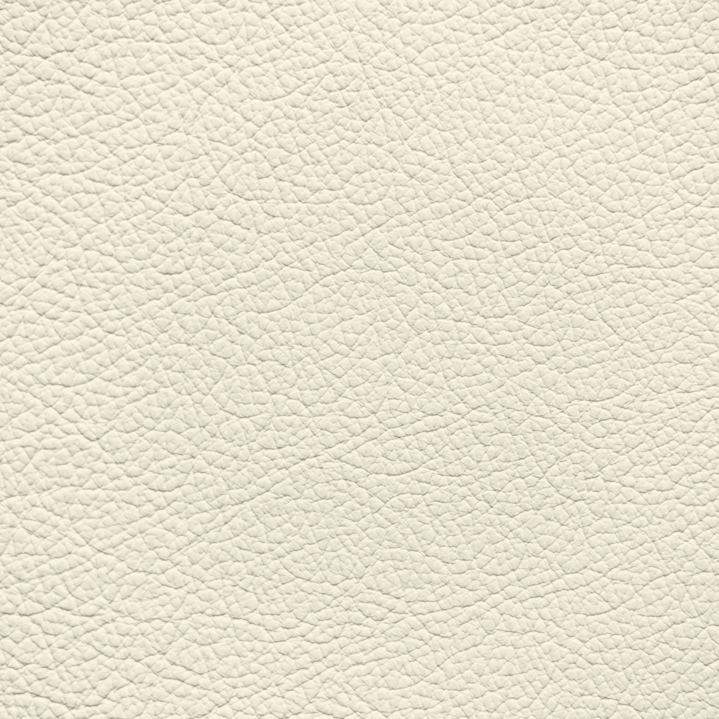 Lexus Cream Leather Dye