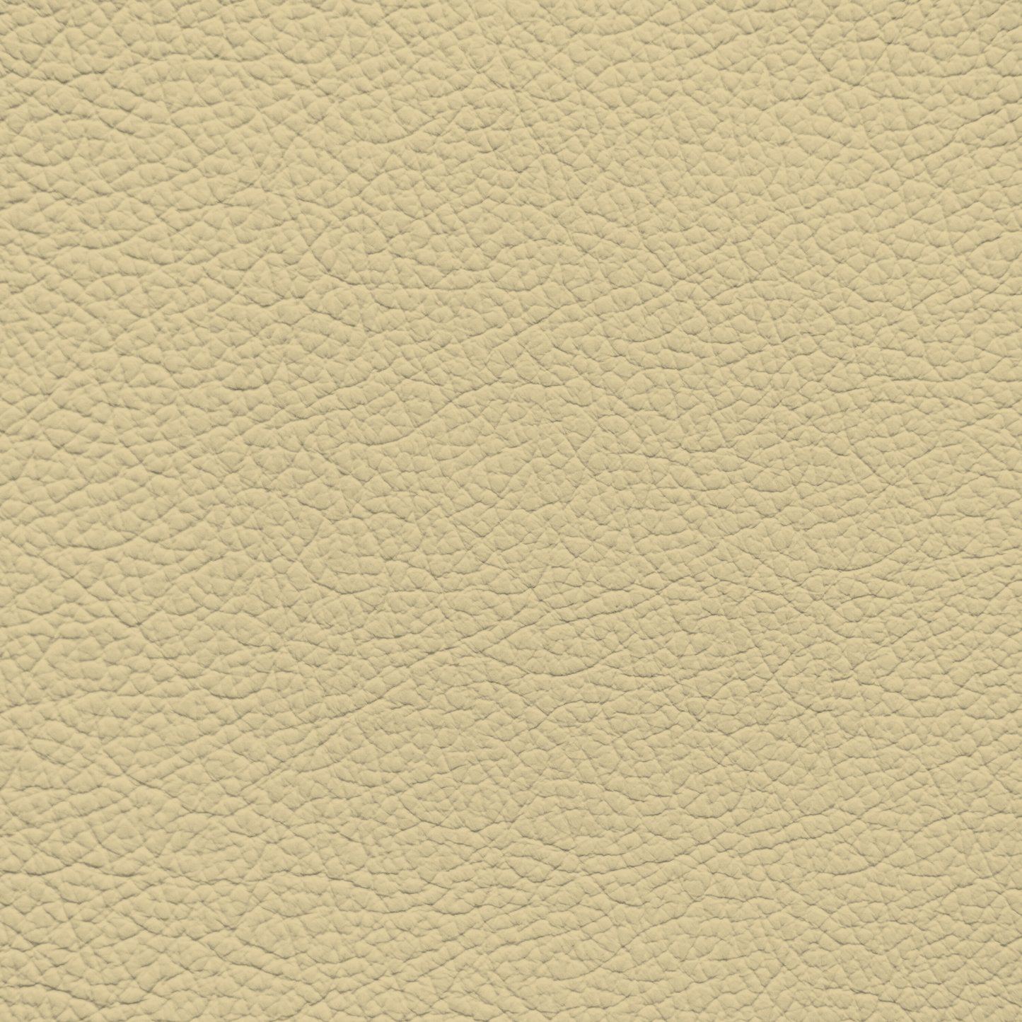 Mercedes Cream Leather Dye