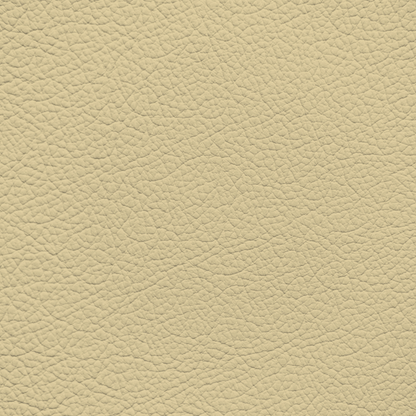 Mercedes Cream Leather Dye